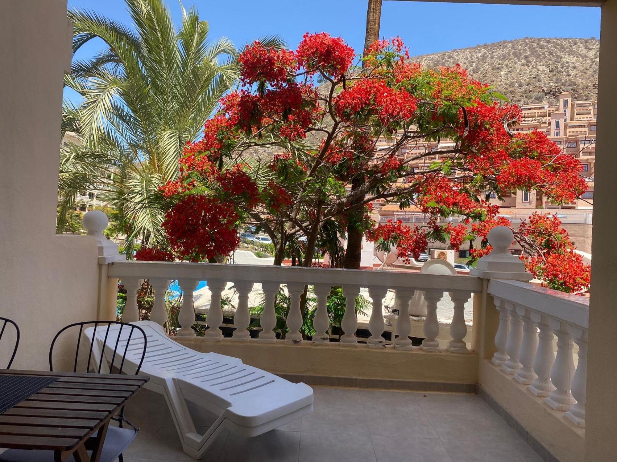 לוס כריסטיאנוס Castle Harbour Samuel'S Studio Flat By Lovetenerife מראה חיצוני תמונה
